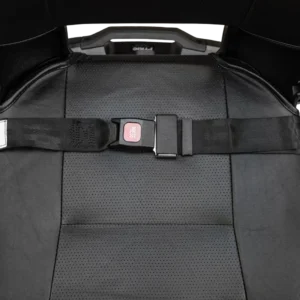 Lap Belt